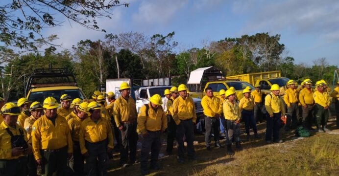 Conafor se alista para la temporada de incendios 2024