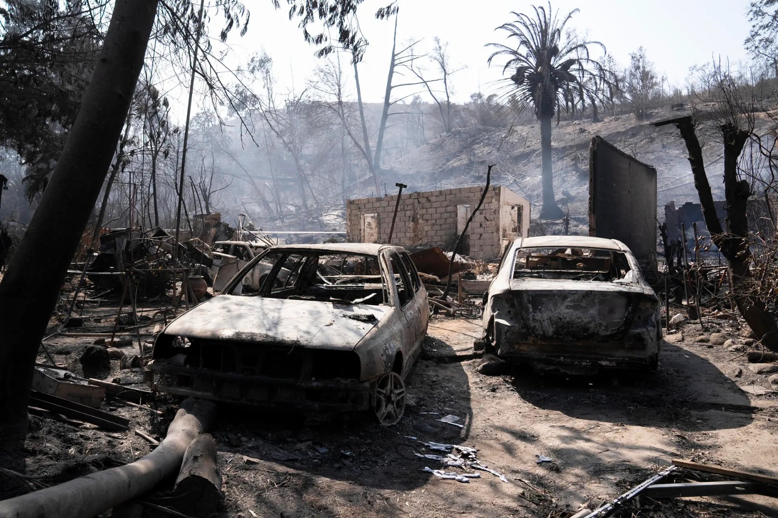 Chile agradece ayuda enviada por México a damnificados por graves incendios