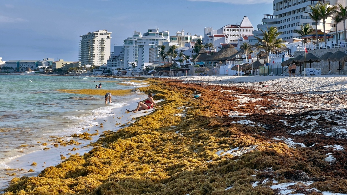 Hoteleros buscan reducir costos para combatir al sargazo y limpiar las playas con acuerdo solidario