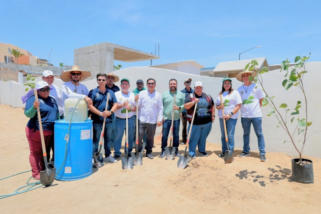 Inician jornada de reforestación en Los Cabos