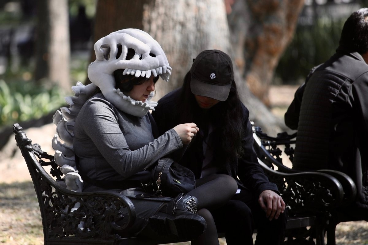 Memes y redes sociales desplazan a las conferencias como vía de aprendizaje cultural