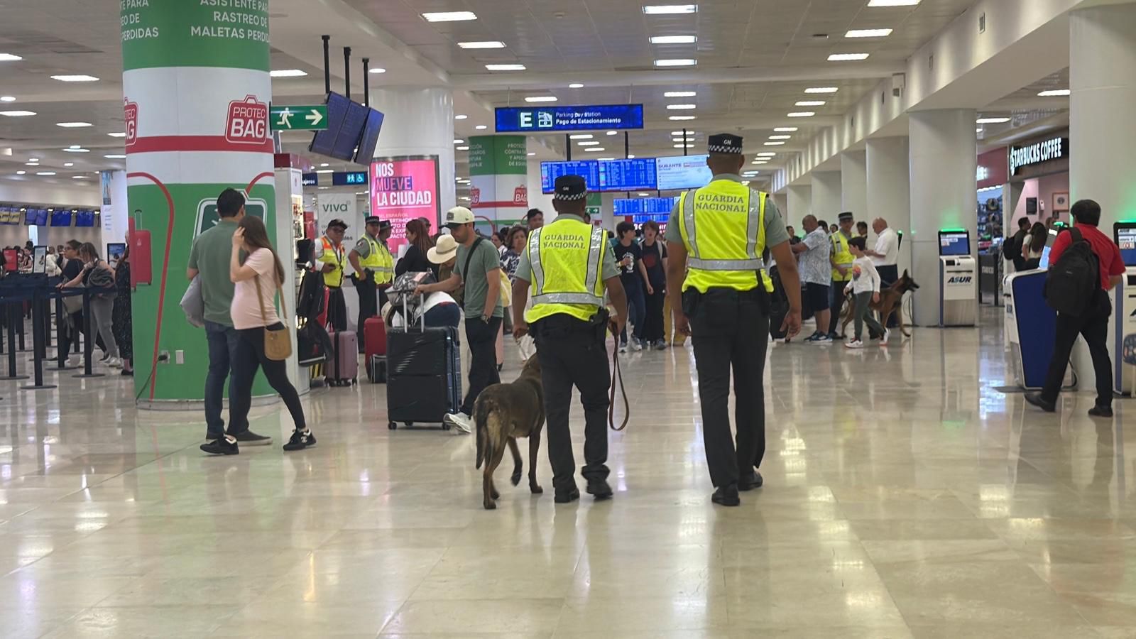 Binomio canino detecta más de 12 kilos de aparente cocaína en el Aeropuerto de Cancún